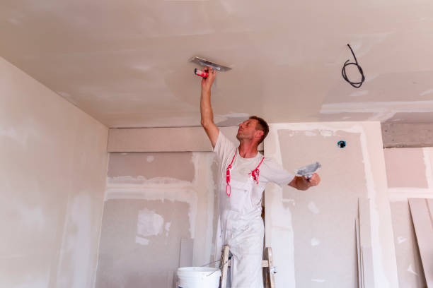 Best Drywall Installation  in Kirbyville, TX