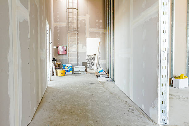 Best Drywall Installation  in Kirbyville, TX